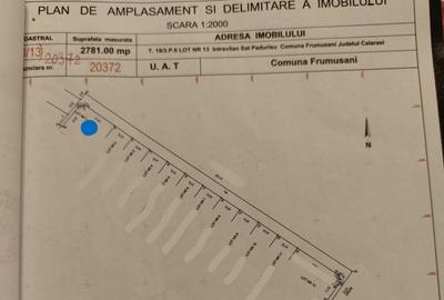 Teren de 985 mp, în Frumușani - 1