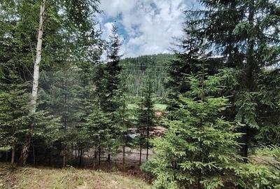 Casa de vacanta nefinalizata (Gheorgheni, zona Magasbukk, km 5) - 19