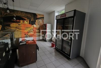 Spatiu comercial + casa individuala 3 camere, garaj dublu, Freidorf - 17