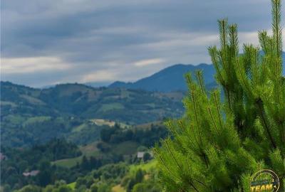 Proprietate + teren 10.400 mp incantoare pozitionare, Poiana Marului, Brasov - 6