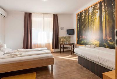 Casă cu 4 camere cu Teren 219 Mp în Central - 8