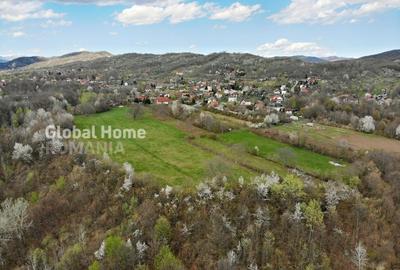 Mountain Plateau - 23.345 SQM - Exclusive Estate | Jud Prahova - Valea Prahovei