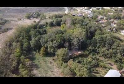 Casă cu 4 camere în Corbii Mari - 3