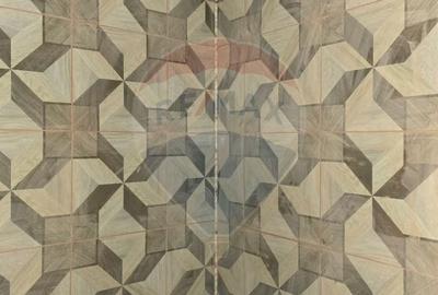 Casa la gri P+M cu anexa - oportunitate unica in Chisineu-Cris! - 17