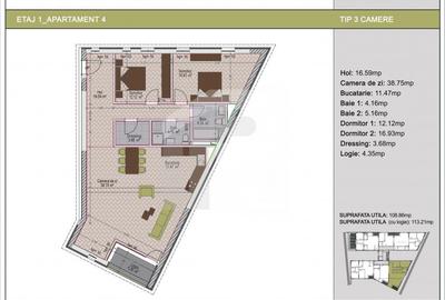 Apartament cu 3 camere decomandat în Nerva Traian - 10