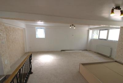 Spatiu comercial in I C Frimu - 3