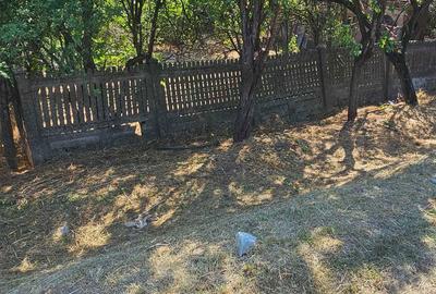 Spațiu comercial, în Balș - 7