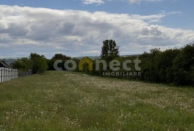 Teren de vanzare pentru casa/duplex | Jucu de Mijloc |  1704 mp - 3