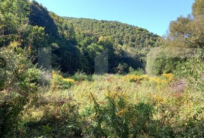 Teren intravilan in zona Valea Ierii, 9691 mp, front 84,71ml - 2