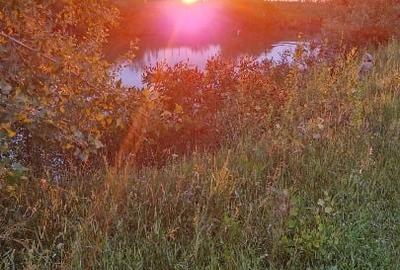 Teren agricol extravilan de 70000 mp, în 3 Insule - 3