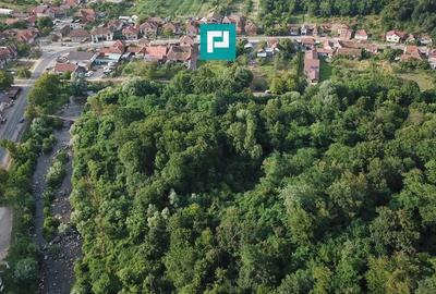 Teren Intravilan, in ora?ul Sebi?, Arad - 16