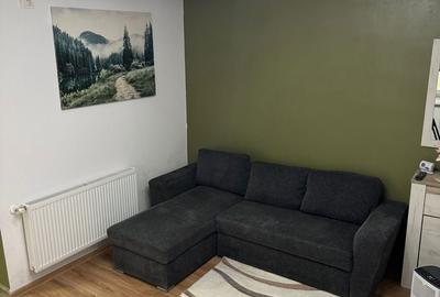 Apartament cu 2 camere semidecomandat în Cetății - 4
