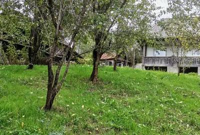 Casă cu 2 camere cu Teren 2357 Mp în Pietrari - 1