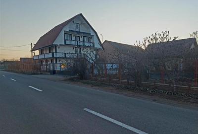 Casa cu 2 etaje si hala mare in Ineu de Cris - 8