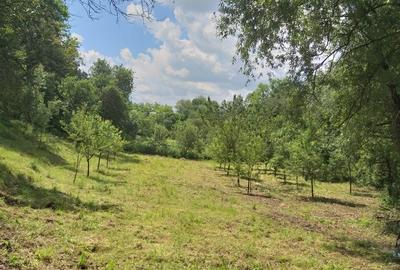 Teren de 2800 mp, în Micești - 3