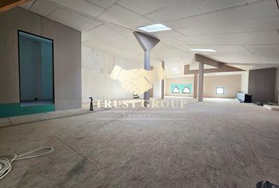 Casa Individuala  Gradina Icoanei -253mp curte libera - Oportunitate - 17