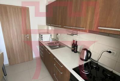 Apartament cu 2 camere semidecomandat, mobilat în Bună Ziua - 6