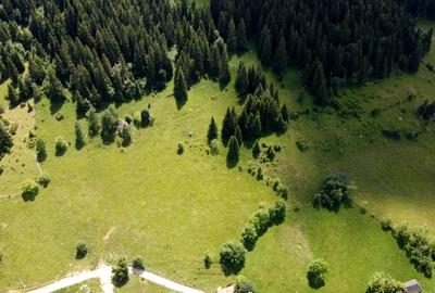 TEREN INTRAVILAN-EXTRAVILAN SPECTACULOS LANGA RESORTUL CHEILE GRADISTEI -FUNDATA - 15