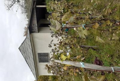 Casa de la viie Casa de la viie - 2