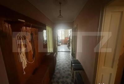 Casă cu 4 camere cu Teren 6197 Mp în Viile Satu Mare - 16