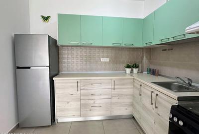 Dobroesti - Penny, 2 camere, etaj 3, 54.2 mp total, mobilat-utilat! - 9