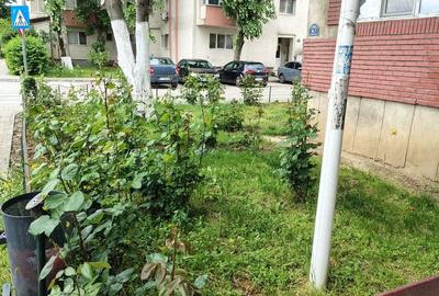 Apartament cu 2 camere decomandat în Tineretului - 4