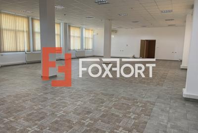 Birouri cu retea calculatoare IT, 500 posturi, zona Olimpia  - ID C4606 - 1