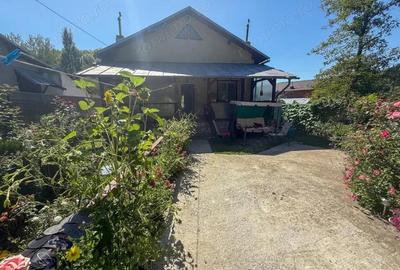 Casa de vacanta sau rezidenta in Adunati, buget redus - 2