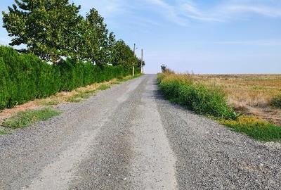 Intravilan agricol - 5