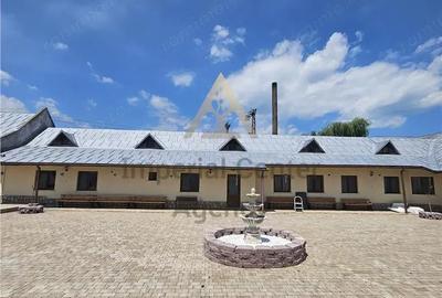 Spațiu comercial, de 900 mp, în Borzești - 10