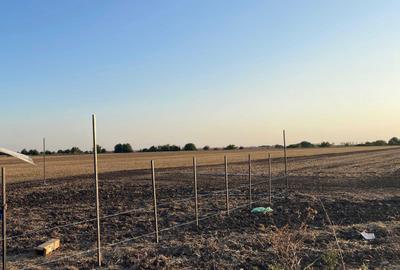 Spațiu comercial, în Creața - 3