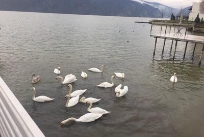 Casă cu 8 camere cu Teren 350 Mp în Eșelnița - 2