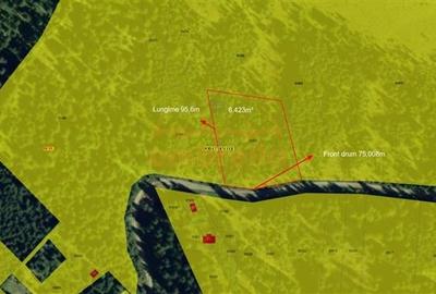 De vanzare in Belis 6.423/? extravilan