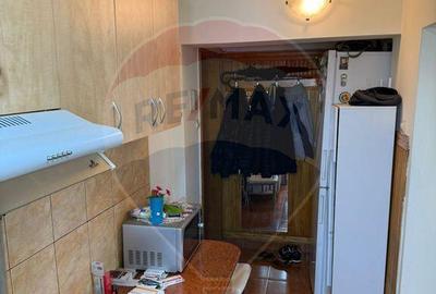 Apartament cu 2 camere decomandat, mobilat în Săsar - 9