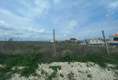 Teren Construcții intravilan de 500 mp, în Palazu Mare - 1