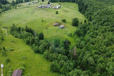 Teren de vanzare 8119 mp Calatele Padure.Muntii Apuseni - 2