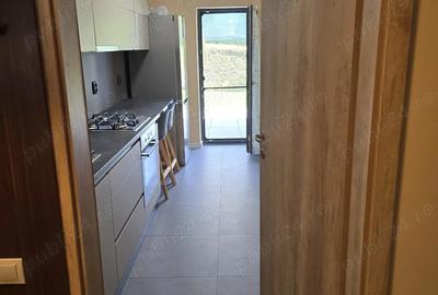 Apartament cu 2 camere decomandat, mobilat în Borhanci - 9