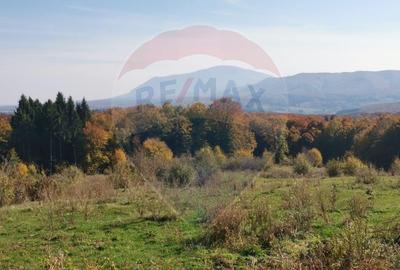 Teren Construcții intravilan de 5400 mp, în Dumbrăvița - 3
