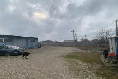 Inchiriez hala la 10 km de Timisoara! - 3