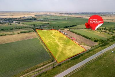 Teren Cernica,pentru Dezvoltare Reziden?iala sau Industria - 3