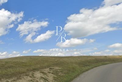 Teren Construcții intravilan de 7200 mp, în Chinteni - 1