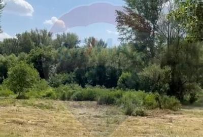 Teren-5000mp DN Ganeasa,sat Sindrilita,T9/Parcela 32/37 - 6