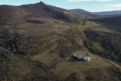 Castel cu vedere panoramica pe dealul ?iriei - 12