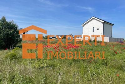 Teren intravilan in KM 5, la VETERANI - PRELUNGIREA TRACTORULUI - 2