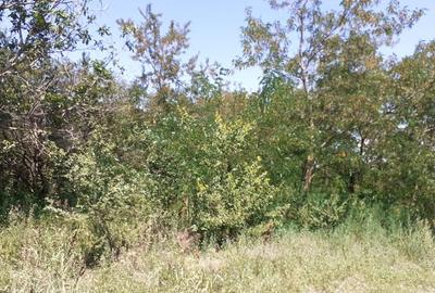 Teren extravilan de 6314 mp, în Belciugatele - 6