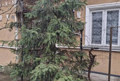 Casă cu 5 camere cu Teren 510 Mp în Copou - 2