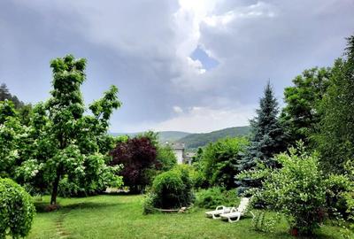 Casa individuala de lux cu piscina si teren de 4.400mp in zona VIVO - 2