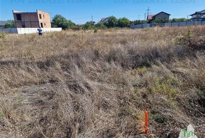 Teren 1491 mp in zona rezidentiala din Ciorogarla Teren 1491 mp in zona rezidentiala din Ciorogarla - 3