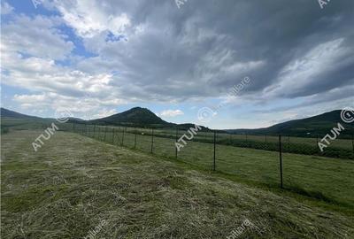 Teren intravilan de 3477 mp cu deschidere de 35 m in Boita - 8