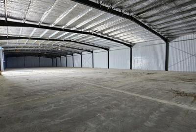 Hale Industriale | DN2 | Afumati-Doraly Expo - 2